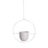 Metal Hanging Flower Pot Nordic Chain Hanging Planter Flower Vase For Home Garden Balcony New.