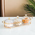 Fruit Plate Snack dish Transparent Round Fruit dish Snack Grid Plate Snack tray Iron Box with Lid dessert tray